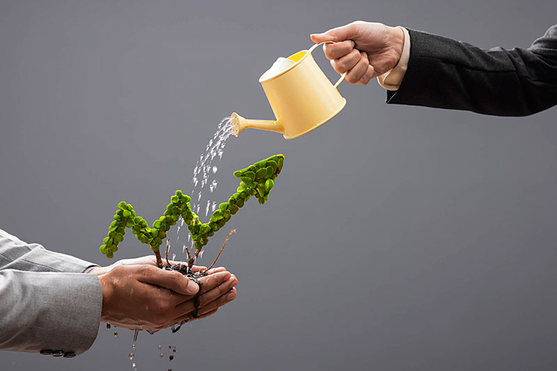 Portfolio 2.0 Concept